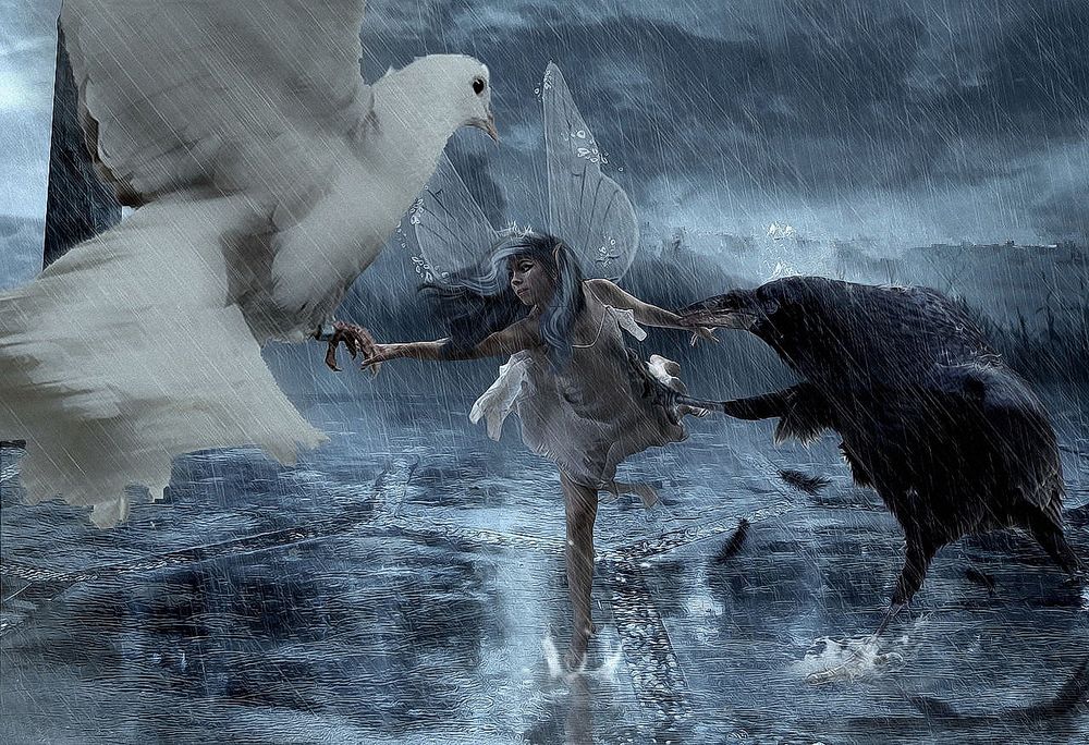 Обои для рабочего стола Девушку эльфа под проливным дождем, тянут за руки в разные стороны белый голубь и черный ворон