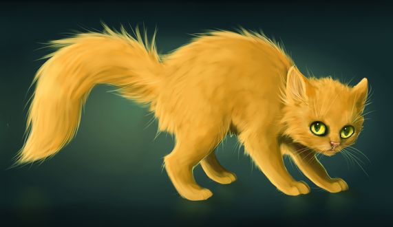 Обои на рабочий стол Рыжий котенок, by H-e-l-y
