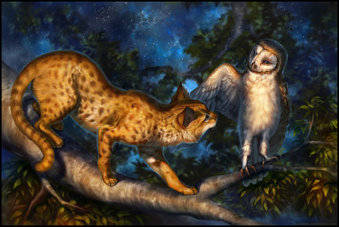 Обои на рабочий стол Кошка и сова, art by TamberElla