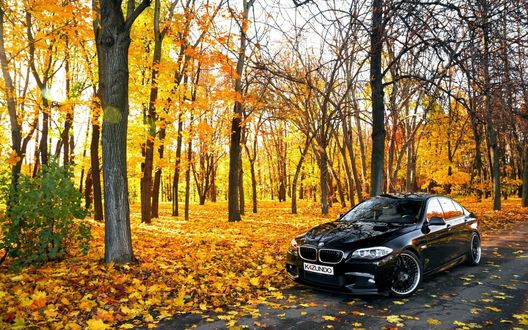 Обои на рабочий стол Автомобиль марки BMV стоит на дороге в осеннем парке