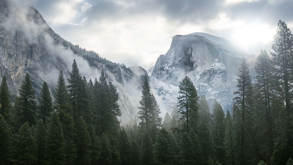 Обои для рабочего стола Сосны и горы в тумане, Yosemite national Park / Йосемитский национальный парк, California / Калифорния, United States / США