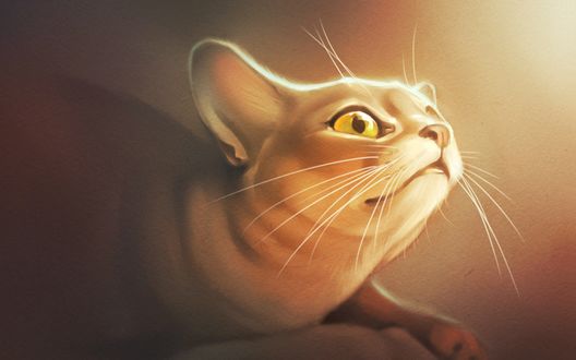 Обои на рабочий стол Милый рисунок кота