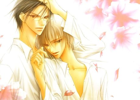 Обои на рабочий стол Kunimitsu Tezuka и Fuji Shusuke из аниме Prince of Tennis / Принц тенниса, art by Akira Houjou