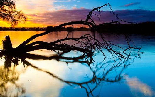 Обои на рабочий стол Ветка поваленного дерева лежит в воде, закат на горизонте