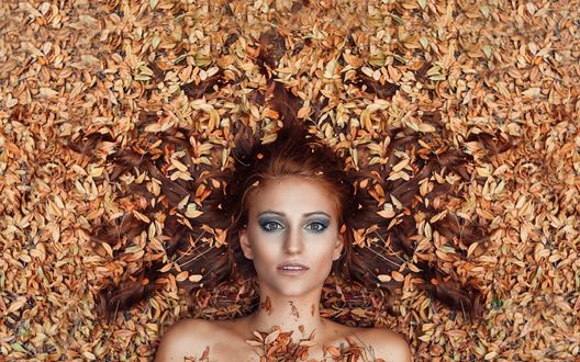 Обои на рабочий стол Девушка лежит на сухих листьях, фотограф Alessandro Di Cicco