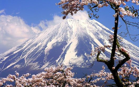 Обои на рабочий стол Весеннее дерево на фоне заснеженной горы, Japan / Япония