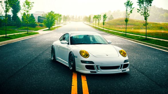 Обои на рабочий стол Красивый белый Porsche стоит по серединке дороги, а рядом с дорогой растут молодые деревья