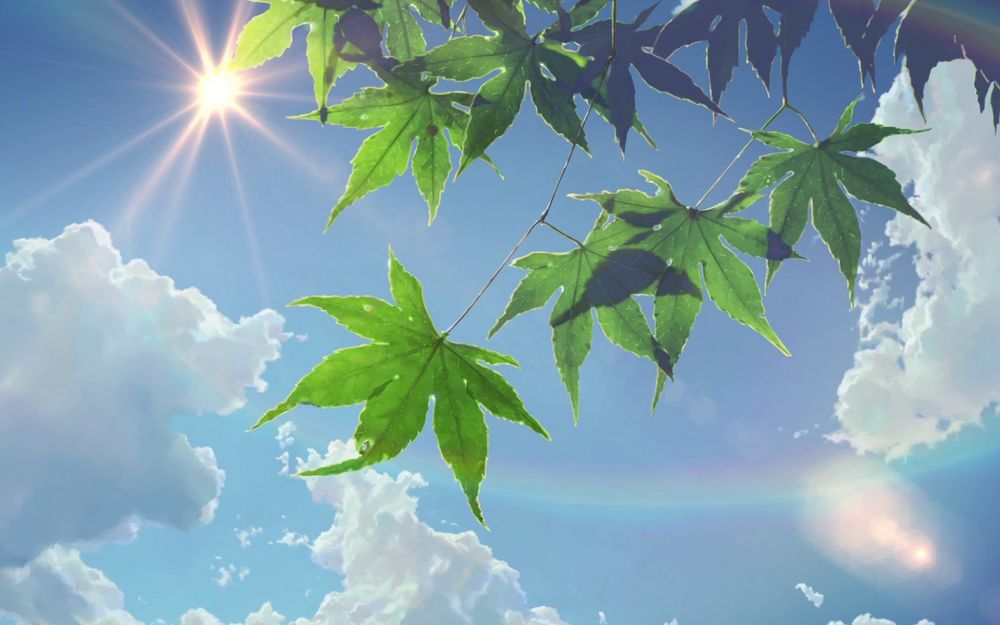 Обои для рабочего стола Зеленая листва на фоне голубого неба, кадр из аниме Сад Изящных Слов / The Garden Of Words