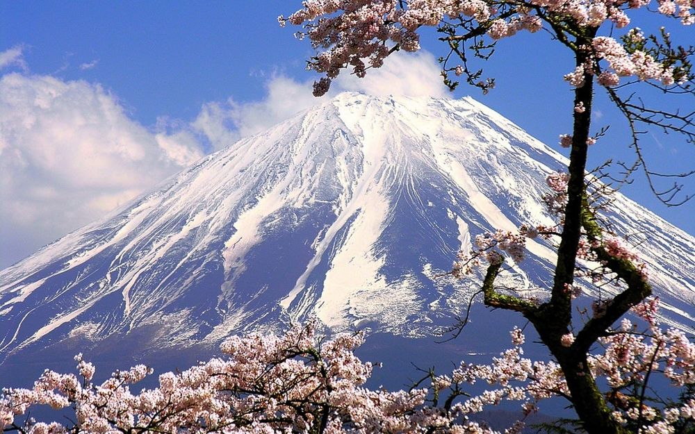 Обои для рабочего стола Весеннее дерево на фоне заснеженной горы, Japan / Япония