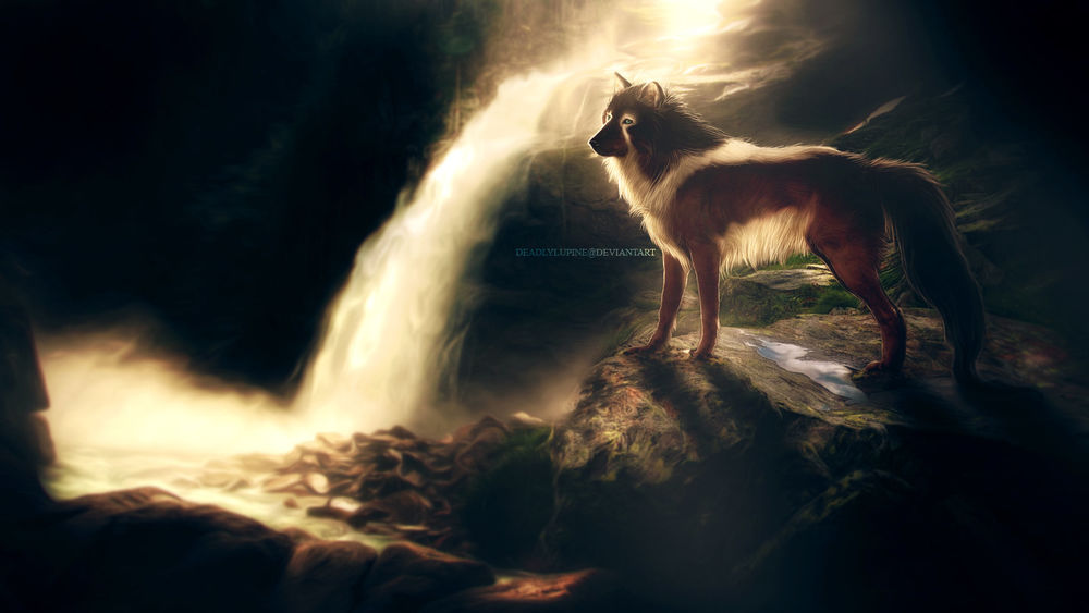 Обои для рабочего стола Волк стоит на фоне водопада, by deadlylupine