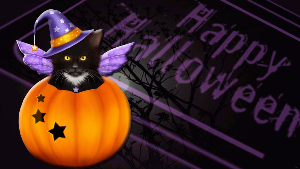 Обои для рабочего стола Черный котенок с крыльями и в шляпке в тыкве Halloween