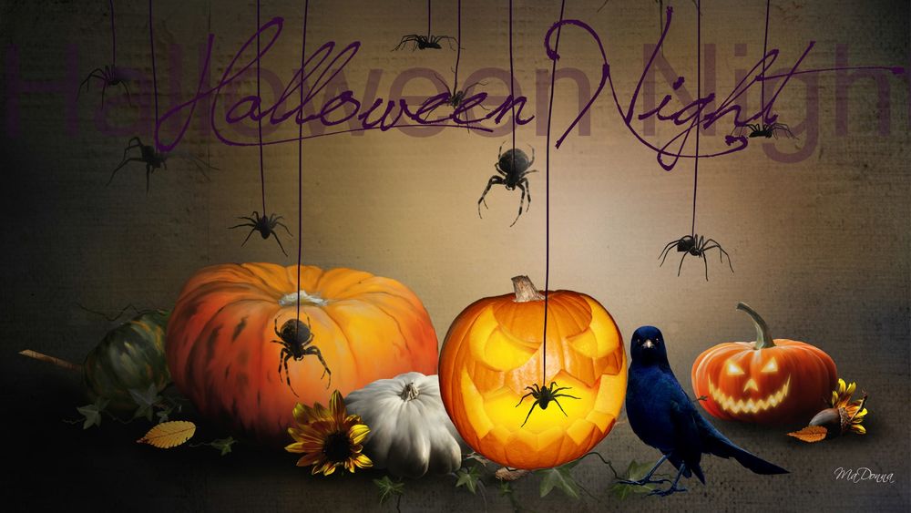 Обои для рабочего стола Черный ворон сидит возле тыкв над которыми на паутине спускаются пауки, Halloween Night / Ночь Хеллоуина