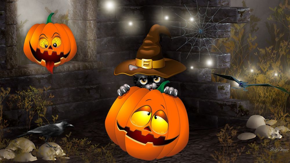 Обои для рабочего стола Праздник Halloween, черный кот держит лапами фонарь Джека