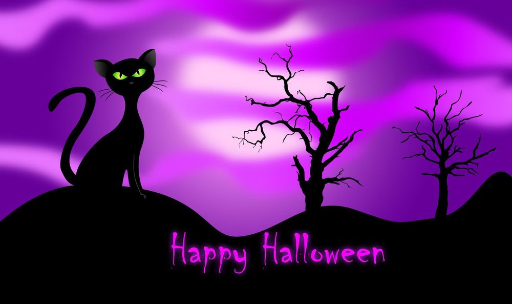 Обои для рабочего стола Happy Halloween / счастливого Хэллоуина, черный, зеленоглазый кот на розовом фоне