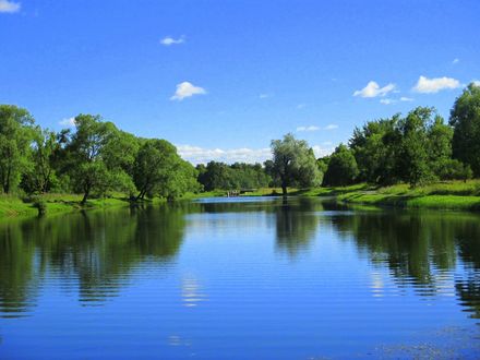 Обои на рабочий стол Спокойная синяя гладь водоема и деревья растущие по берегам