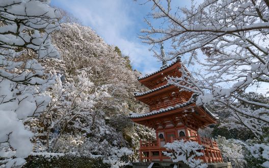 Обои на рабочий стол Пагода храма Mimuroto Ji-temple среди заснеженных деревьев, Киото / Kyoto, Япония / Japan
