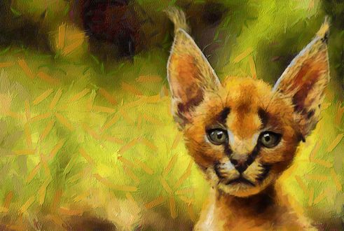 Обои на рабочий стол Рисунок котенка каракала
