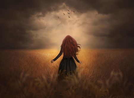Обои на рабочий стол Девушка с длинными волосами стоит в поле, ву Kristen Marie