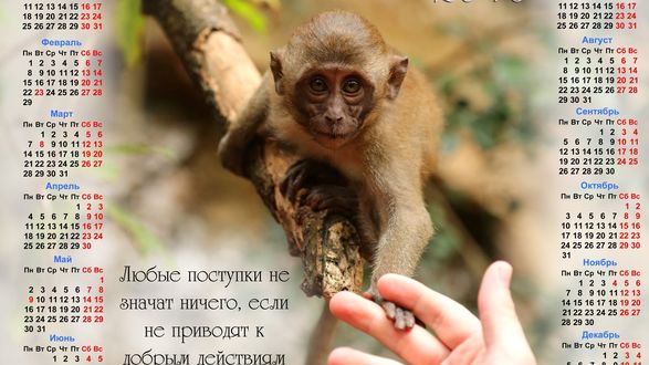 Обои на рабочий стол Календарь на 2016 год