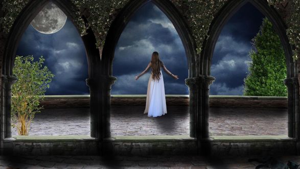 Обои на рабочий стол Леди в лунном свете