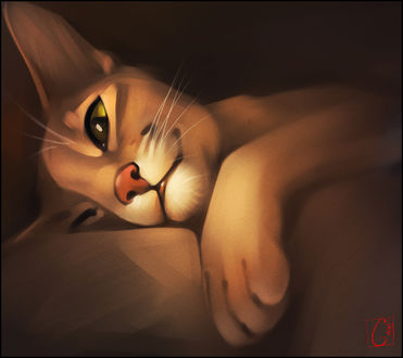 Обои на рабочий стол Кошка лежит, свесив лапу, by GaudiBuendia