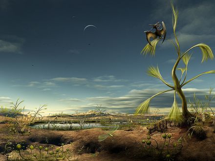 Обои на рабочий стол Не существующий мир, на земле почти нет растений и обидают странные птицы, родственники динозавров