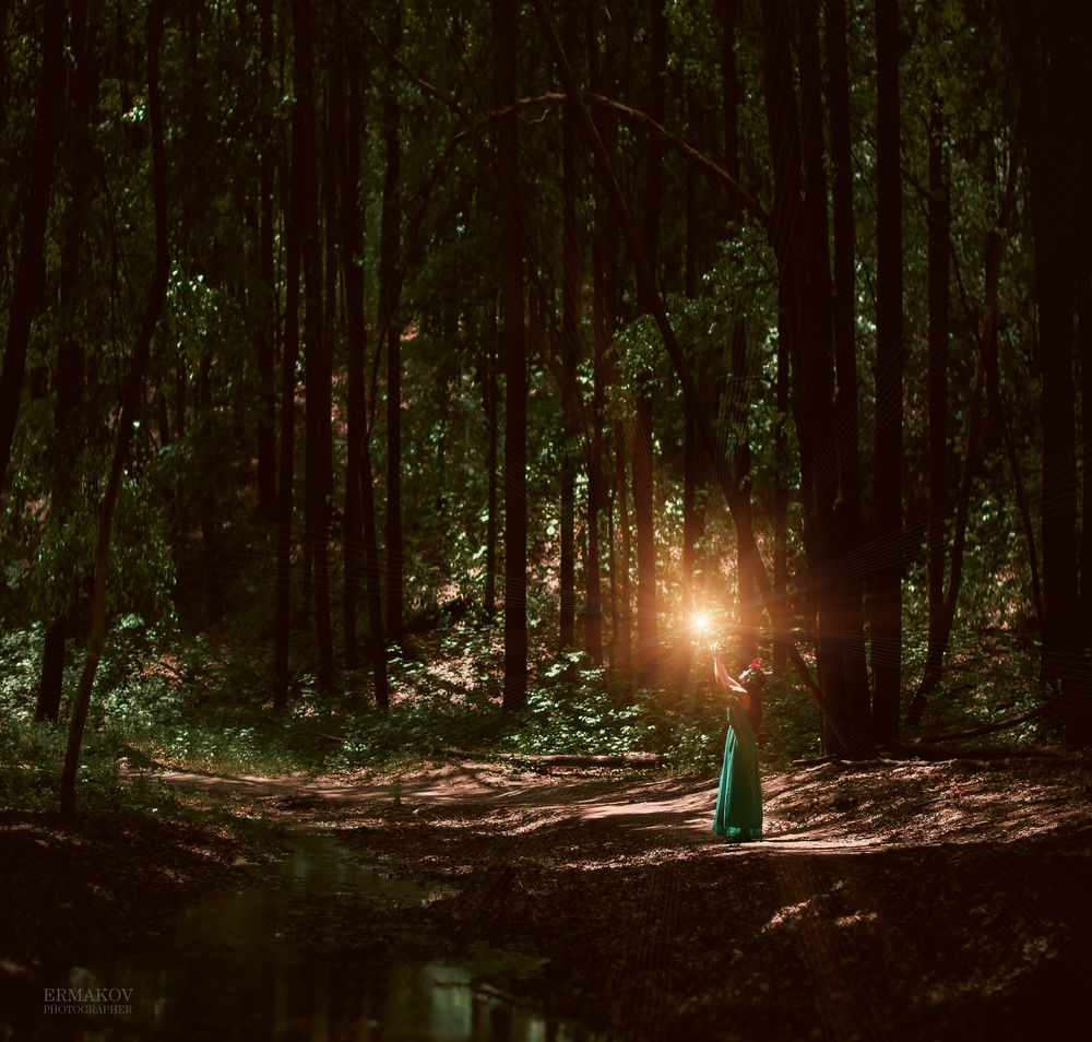 Обои для рабочего стола Девушка в венке из красных роз стоит среди деревьев в лесу, над ее поднятыми руками светит Солнце, модель Мария Кот, фотограф Евгений Ермаков