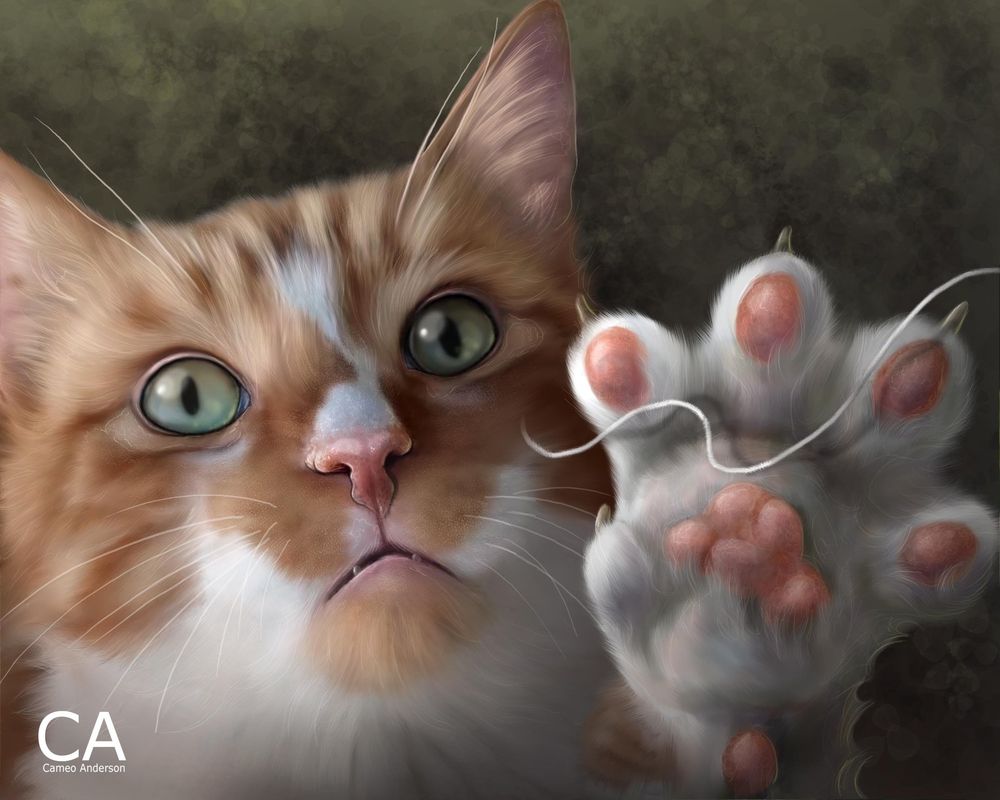 Обои для рабочего стола Кот выставил лапу, by cameoanderson
