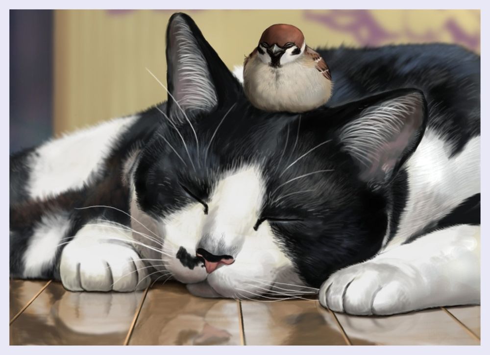 Обои для рабочего стола На голове спящего кота сидит воробей, автор TAKU