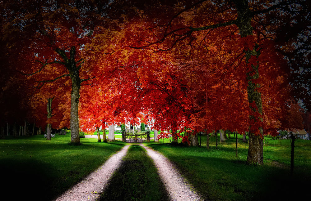 Обои для рабочего стола Дорога ведет через парк к воротам двора, на котором находится дом, вокруг деревья с осенними листьями