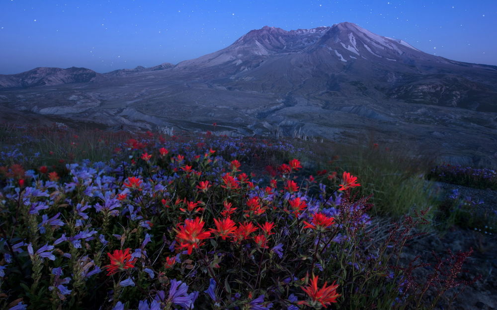 Обои для рабочего стола Красивый горный пейзаж, на переднем плане яркие цветы, над высокими горами звездное небо