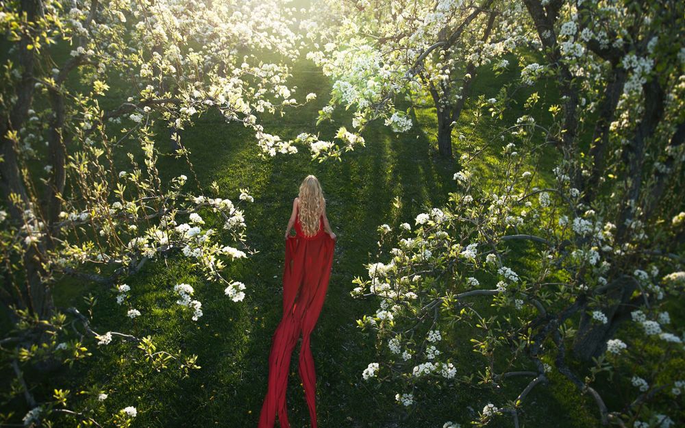 Обои для рабочего стола Девушка в красном платье стоит в цветущем саду