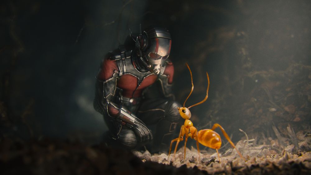 Обои для рабочего стола Кадр из фильма Человек-муравей / ANT-MAN