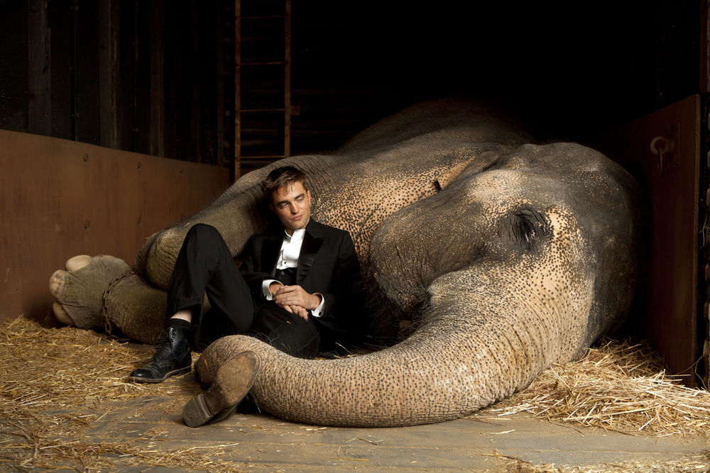 Обои для рабочего стола Актер Роберт Паттинсон, в черном костюме, лежит рядом со слоном, фильм Воды слонам