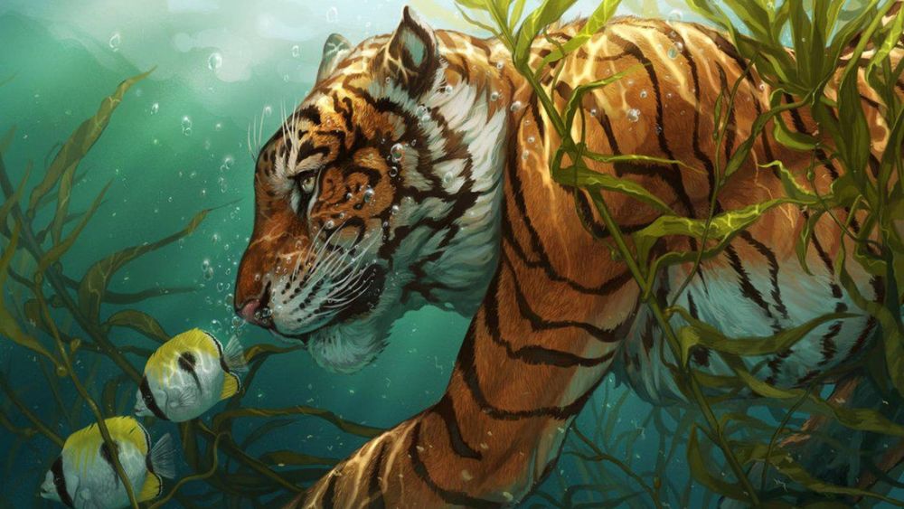Обои для рабочего стола Тигр охотится на рыб под водой