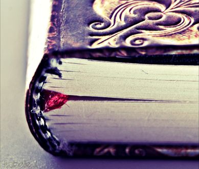 Обои на рабочий стол Книга в оригинальном переплете, by zwoing
