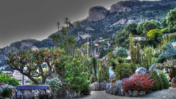 Обои на рабочий стол В Экзотическом Саду Монако (Jardin Exotique de Monaco) представлена огромная более 1000 видов коллекция кактусов