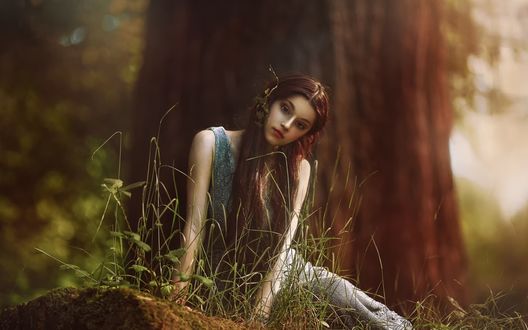 Обои на рабочий стол Девушка с длинными волосами сидит у дерева, by Agnieszka Lorek