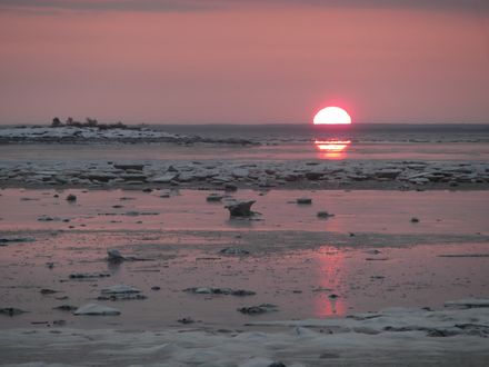 Обои на рабочий стол Закат солнца на острове Кий среди воды и снега