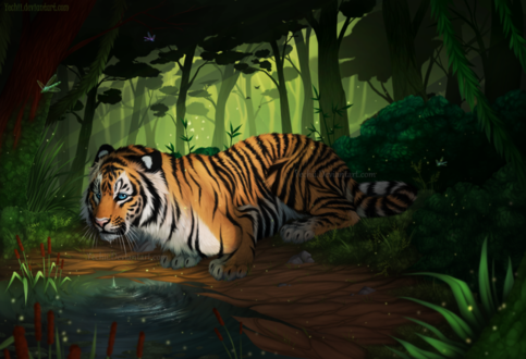 Тигр в лесу обои на телефон