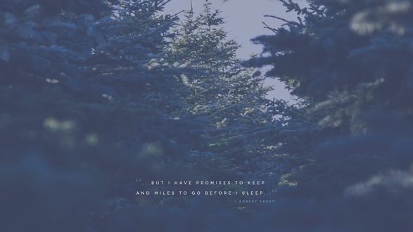 Обои на рабочий стол Ели (BUT I HAVE PROMISES TO KEEP AND MILES TO GO BEFORE I SLEEP ROBERT FROST)