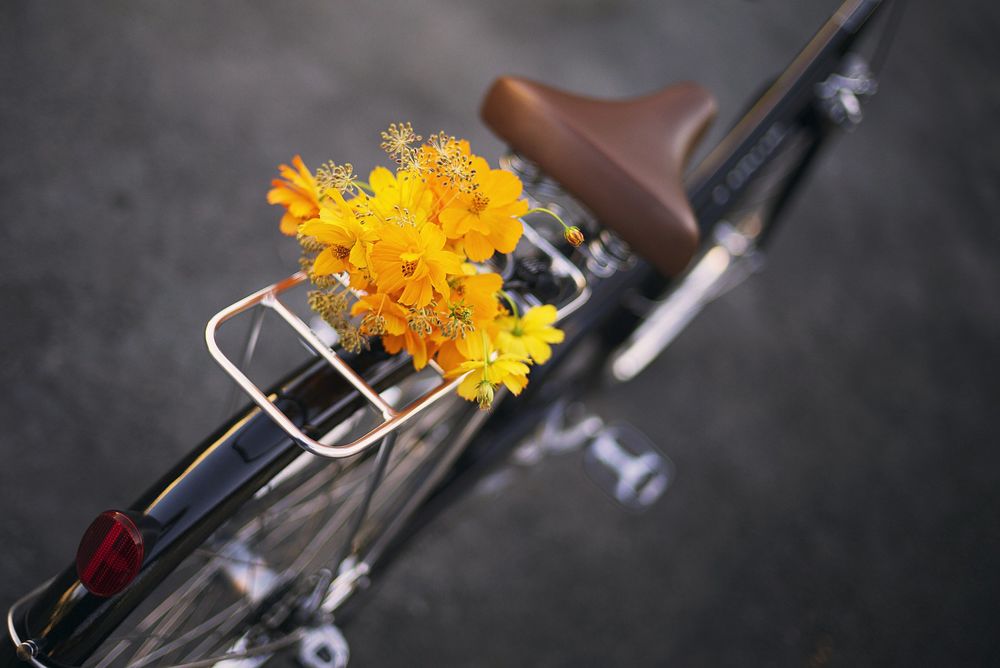 Обои для рабочего стола На багажнике велосипеда лежит букетик желтых цветов
