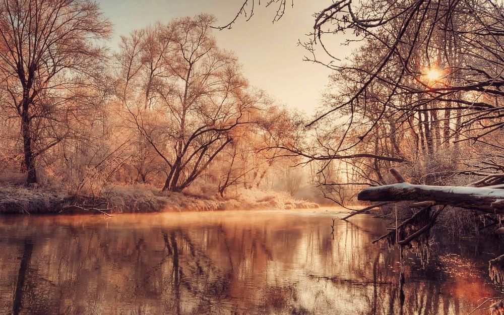 Обои для рабочего стола Зима, вода в реке освещается солнечными лучами проникающими сквозь ветви деревьев, которые покрыты снегом