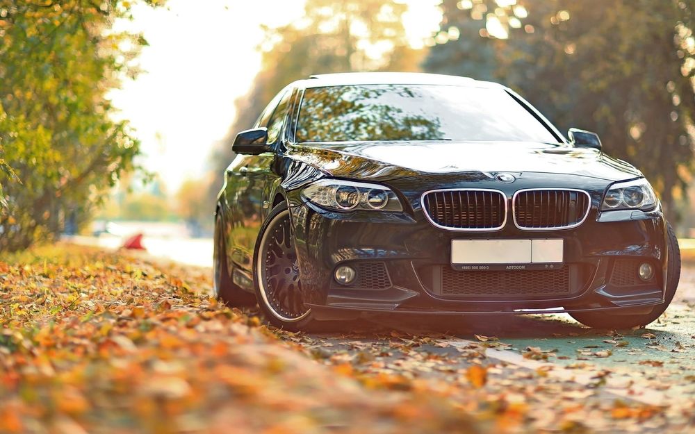 Обои для рабочего стола Черная BMW стоит на дороге, усыпанной осенними листьями