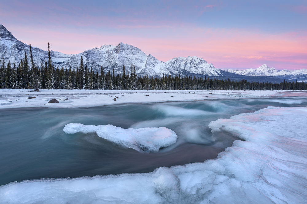 Обои для рабочего стола Работа A cold winter morning along the shoreline of the Athabasca river in Jasper National Park / холодное зимнее утро вдоль береговой линии реки Атабаска в Национальном парке Джаспер, ву Adam Gibbs