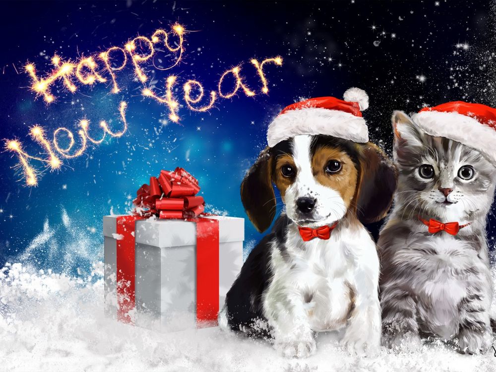 Обои для рабочего стола Щенок и котенок в новогодних шапочках сидят на снегу возле подарка (Happy New Year / Счастливого Нового Года)