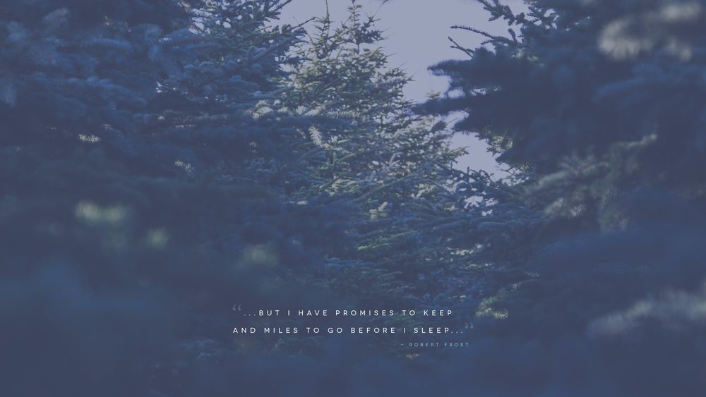Обои для рабочего стола Ели (BUT I HAVE PROMISES TO KEEP AND MILES TO GO BEFORE I SLEEP ROBERT FROST)