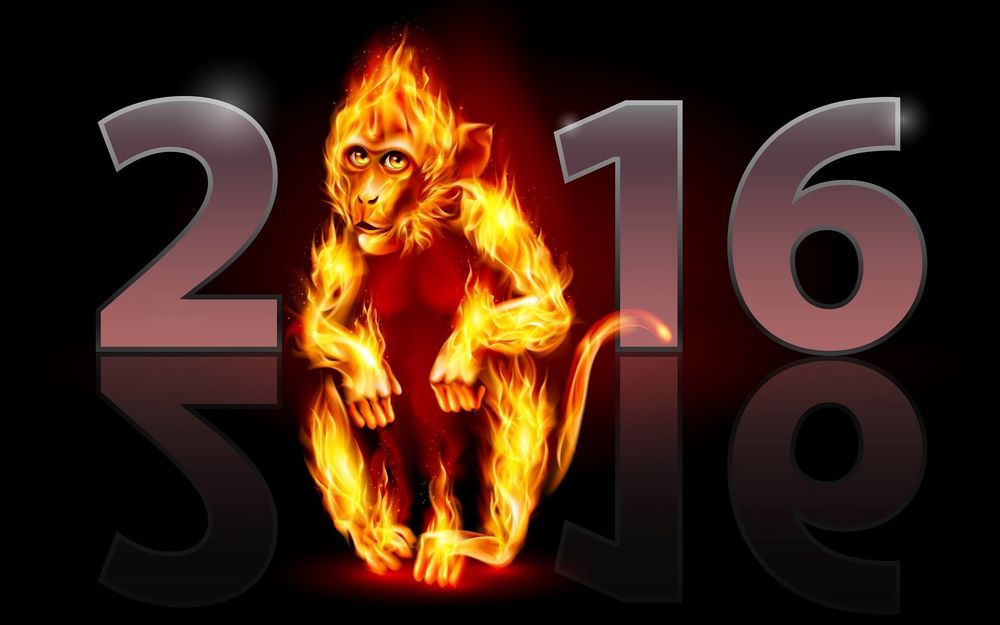 Обои для рабочего стола 2016 год огненной обезьяны