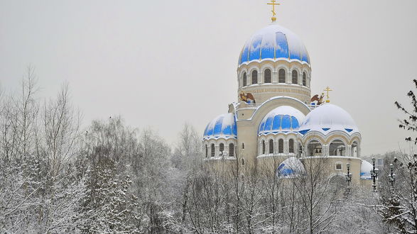 Обои на рабочий стол Храм с голубыми куполами стоит посреди зимнего леса