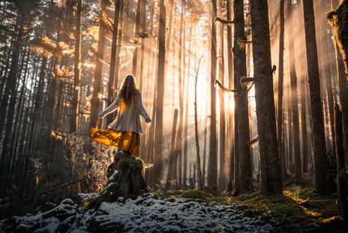 Обои на рабочий стол Девушка стоит на пне в лесу, ву Lizzy Gadd